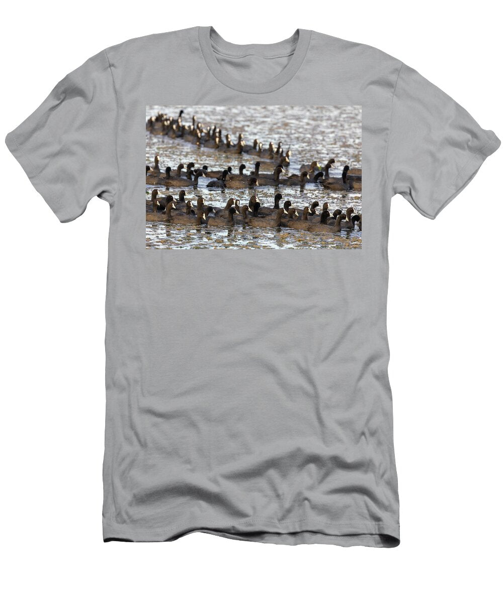 Red Knobbed Coots Flock on Water Amboseli National Park Ann Steve Toon Natureplcom T-Shirt