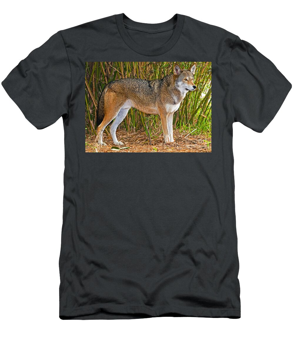 Red Wolf Millard H Sharp T-Shirt