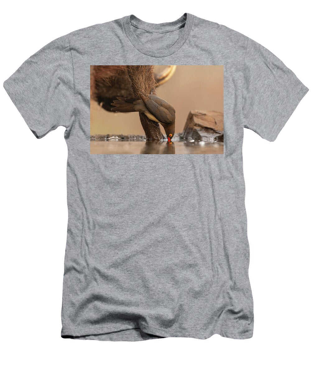 Redbilled Oxpecker Drinking From Perch on Warthog Zimanga Ann Steve Toon Natureplcom T-Shirt