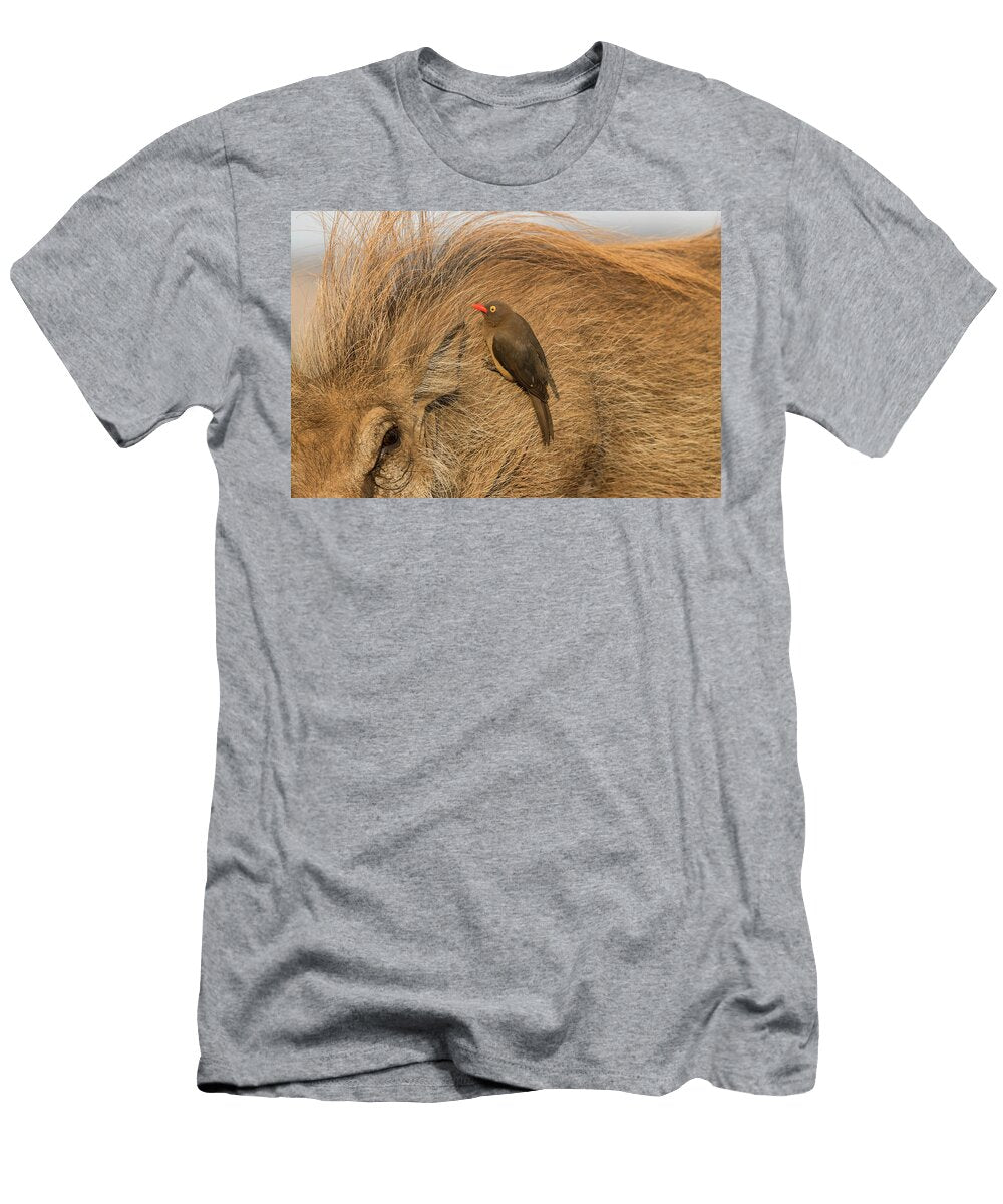 Redbilled Oxpecker Searching for Insects on Warthog Ann Steve Toon Natureplcom T-Shirt