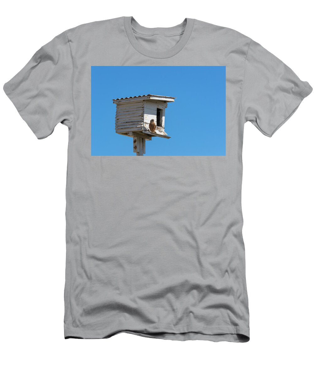 Rock Kestrel At Nesting Box Western Cape South Ann Steve Toon Natureplcom T-Shirt