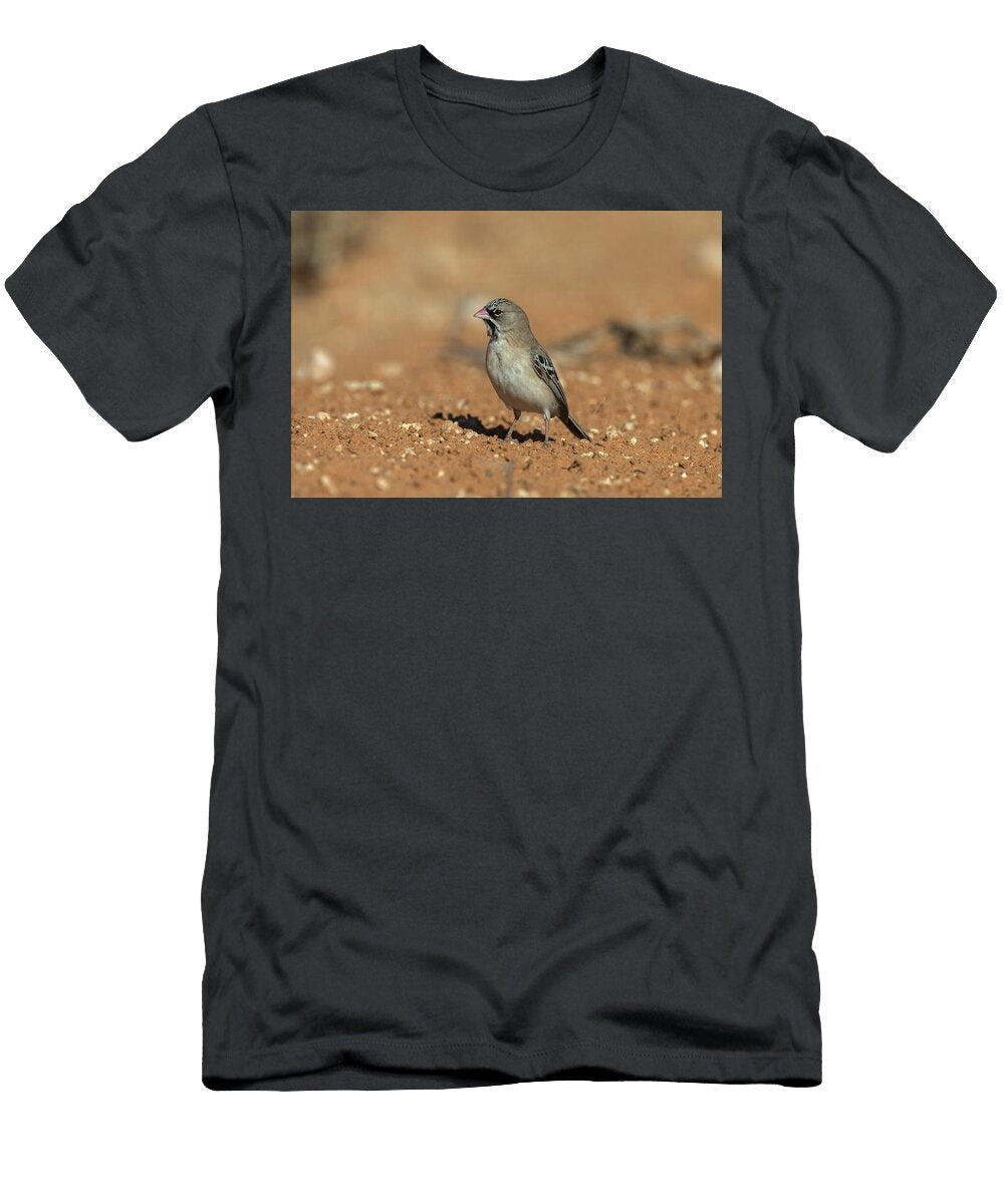 Scaly Feathered Finch Kgalagadi Transfrontier Park South Ann Steve Toon Natureplcom T-Shirt