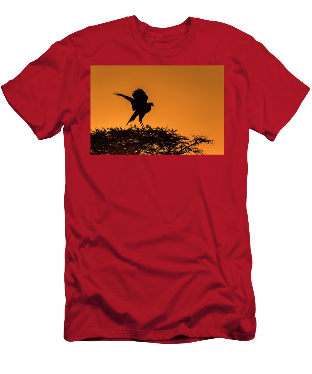 Secretarybird At Roost Zimanga Game Reserve Ann Steve Toon Natureplcom T-Shirt