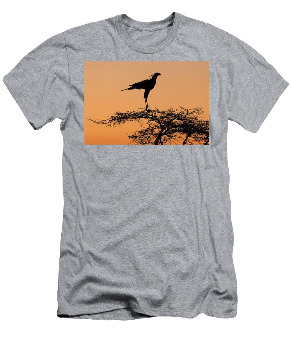Secretarybird Silhouetted At Roost in Tree Zimanga Private Ann Steve Toon Natureplcom T-Shirt