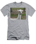 Silly Alpaca Megan Thompson T-Shirt