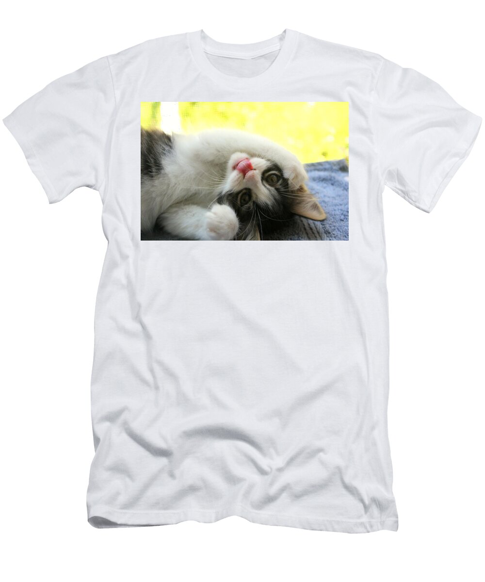 Silly Kitten Anita Hiltz T-Shirt