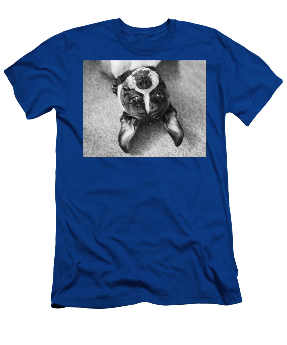Silly Upside Down Boxer Dog Stephanie Mcdowell T-Shirt