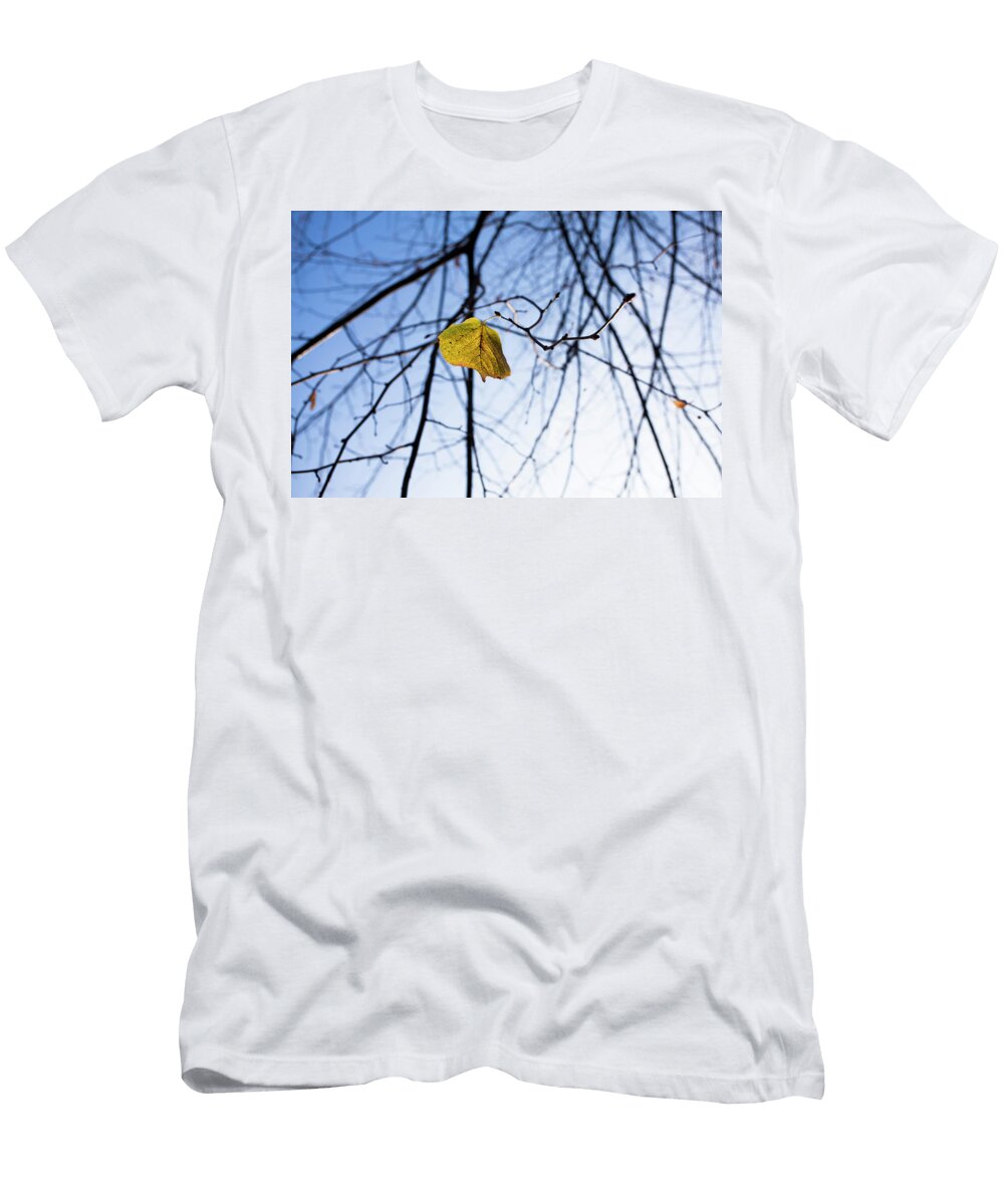 Single Yellow Leaf Hanging on Branch Helge Bias T-Shirt