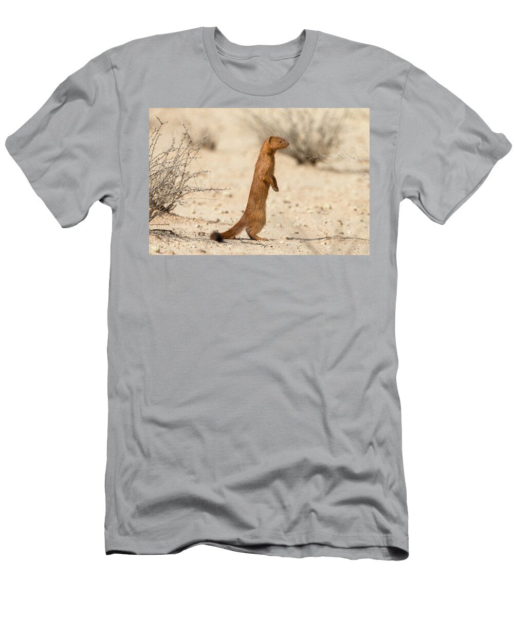 Slender Mongoose Kgalagadi Transfrontier National Park Ann Steve Toon Natureplcom T-Shirt