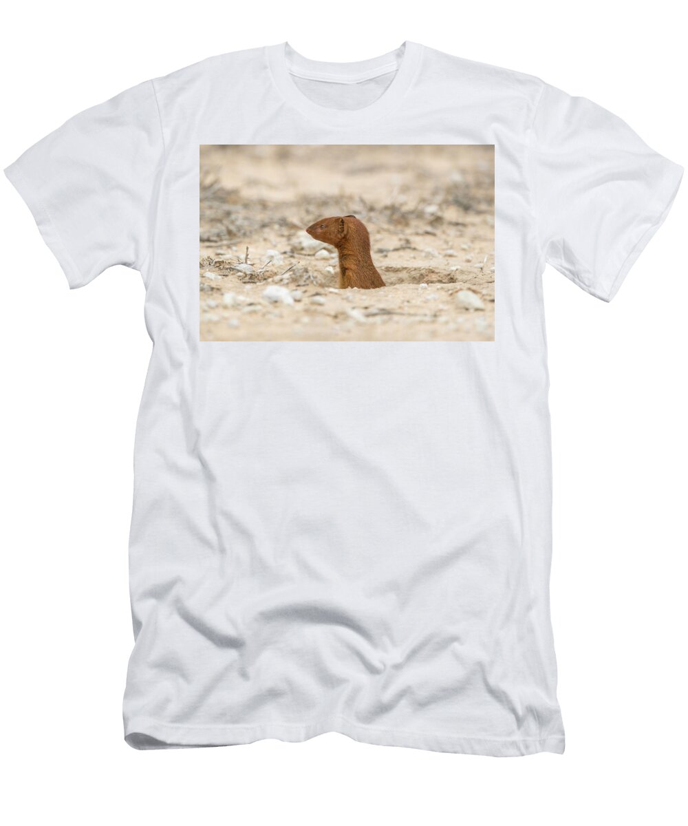 Slender Mongoose Peering Out From Burrow Kgalagadi Ann Steve Toon Natureplcom T-Shirt