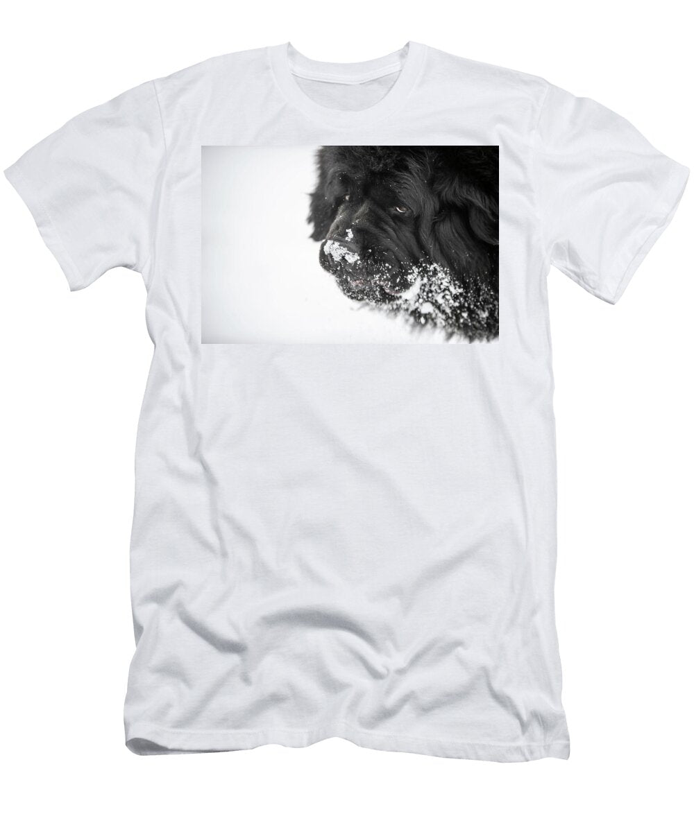 Snow Beast Notta Bear T-Shirt