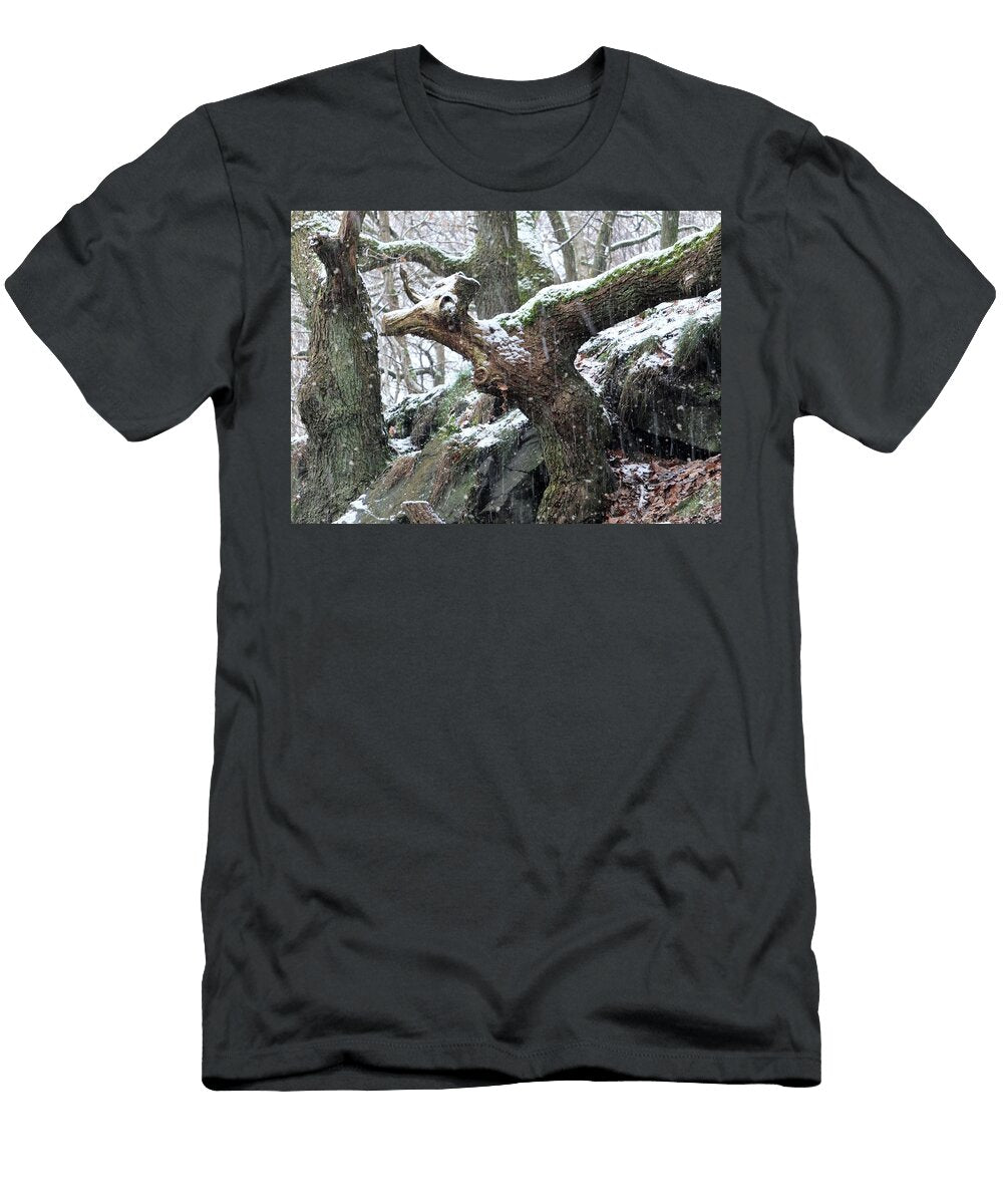 Snow Falling in Ancent Woodland with Animal Shaped Tree Trunk Philip Openshaw T-Shirt