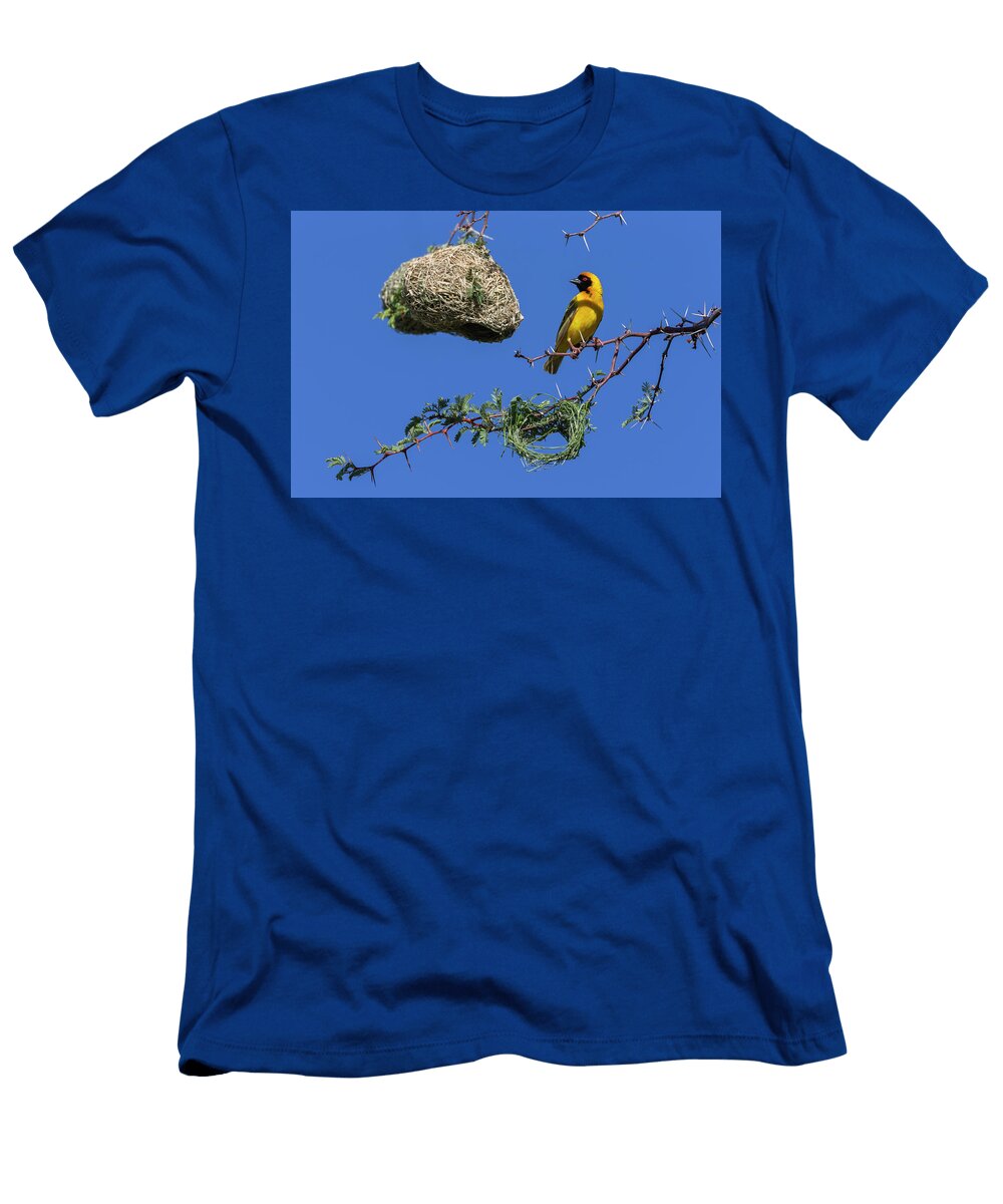 Southern Masked Weaver Building Nest South Africa Ann Steve Toon Natureplcom T-Shirt