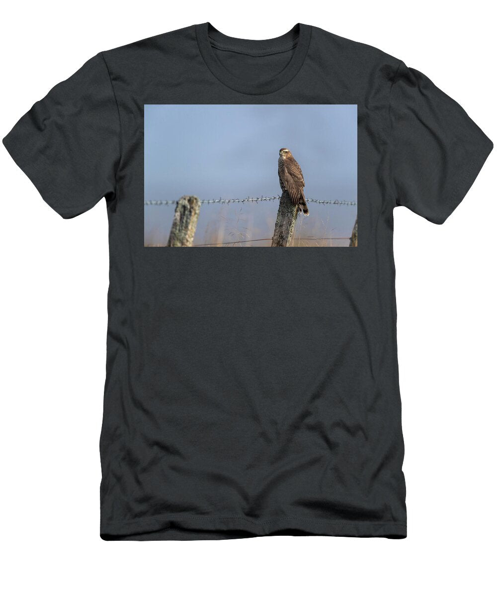 Sparrowhawk Female Perched on Post Northumberland National Ann Steve Toon Natureplcom T-Shirt