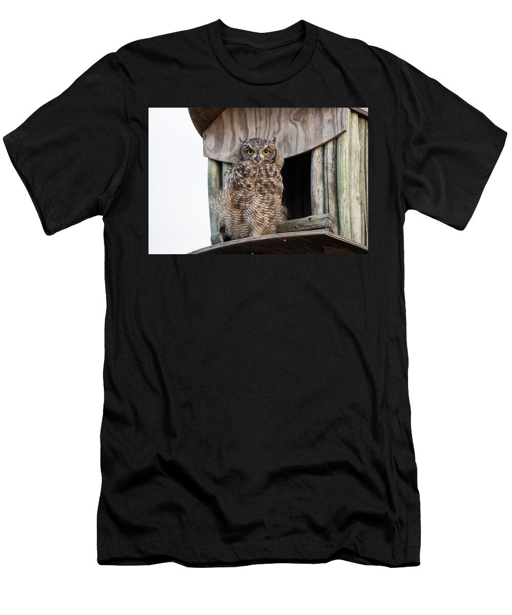 Spotted Eagle Owl At Nest Box Paternoster Western Cape Ann Steve Toon Natureplcom T-Shirt