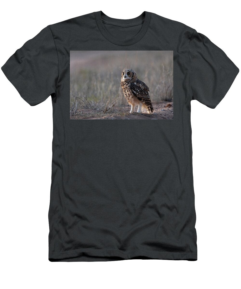 Spotted Eagle Owl Portrait Kgalagadi Transfrontier Park Ann Steve Toon Natureplcom T-Shirt