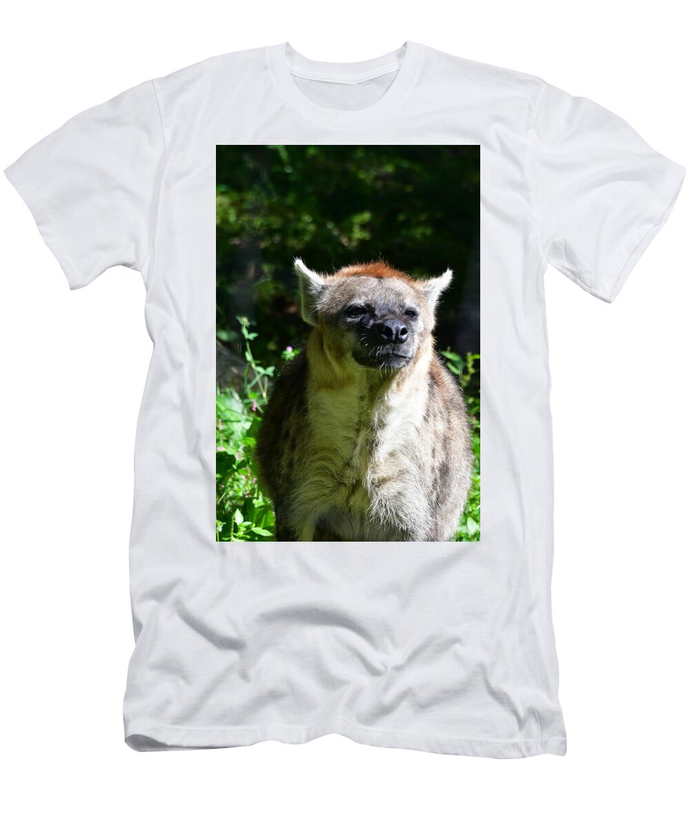 Spotted Hyena in Sunlight Rickey Campbell T-Shirt