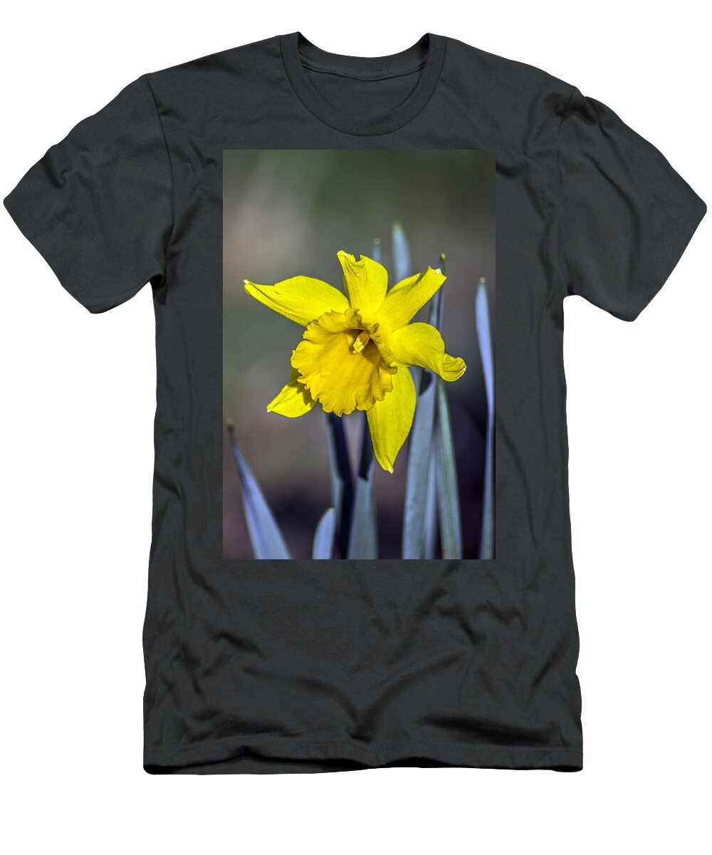 Spring Has Sprung Paul Madden T-Shirt