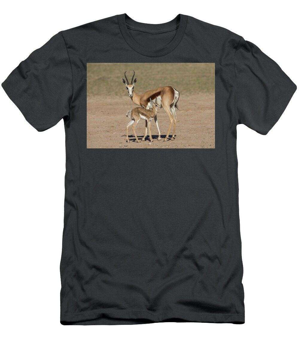 Springbok and New Born Calf Kgalagadi Transfrontier Park Ann Steve Toon Natureplcom T-Shirt