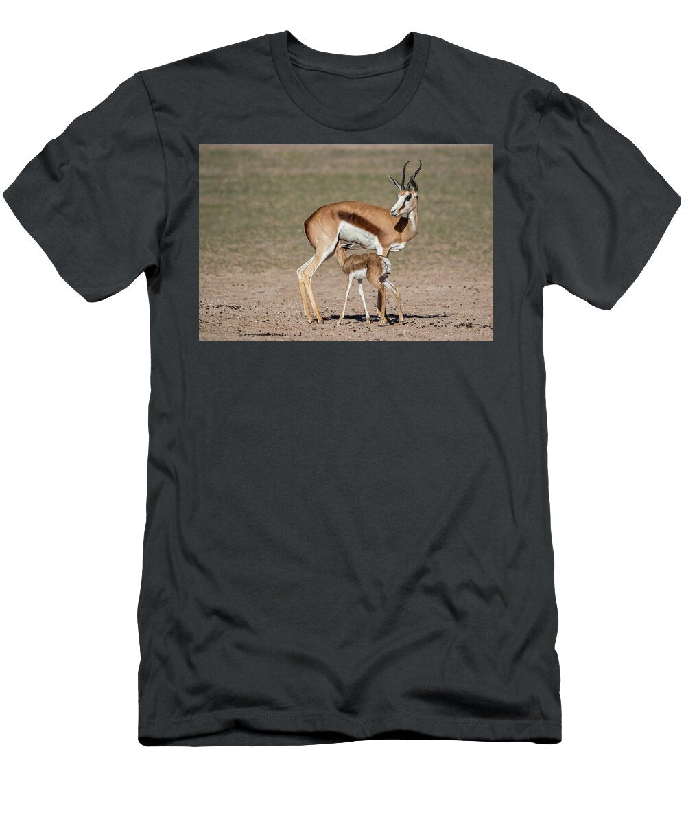 Springbok and New Born Calf Suckling Kgalagadi Ann Steve Toon Natureplcom T-Shirt