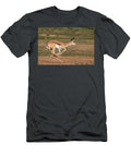 Springbok Calf Running Kgalagadi Transfrontier Park South Ann Steve Toon Natureplcom T-Shirt