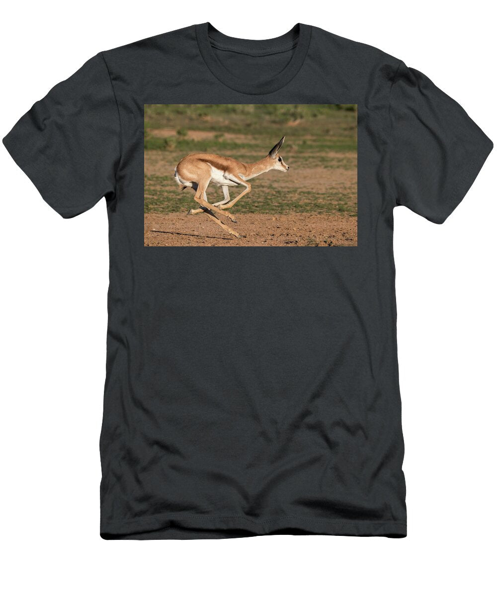 Springbok Calf Running Kgalagadi Transfrontier Park South Ann Steve Toon Natureplcom T-Shirt