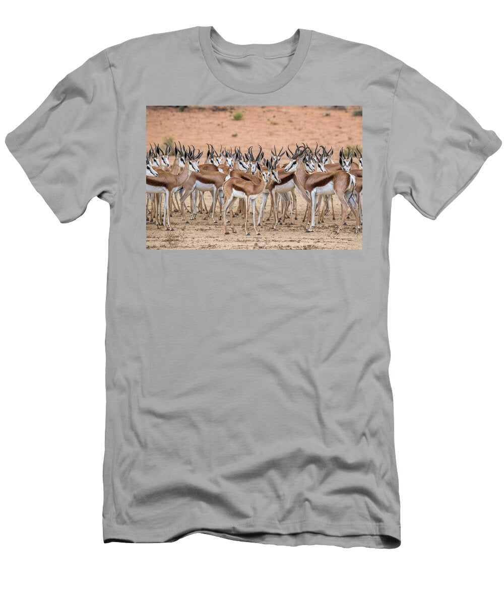 Springbok Herd in the Rain Kgalagadi Transfrontier Park Ann Steve Toon Natureplcom T-Shirt