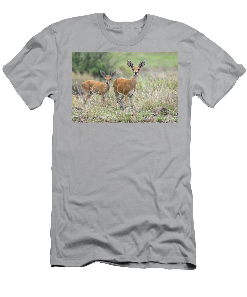 Steenbok Pair Female in Foreground Standing in Long Ann Steve Toon Natureplcom T-Shirt