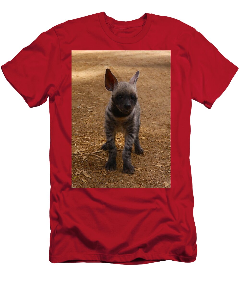 Striped Hyena Cub on Dirt Path Brittney Powers T-Shirt