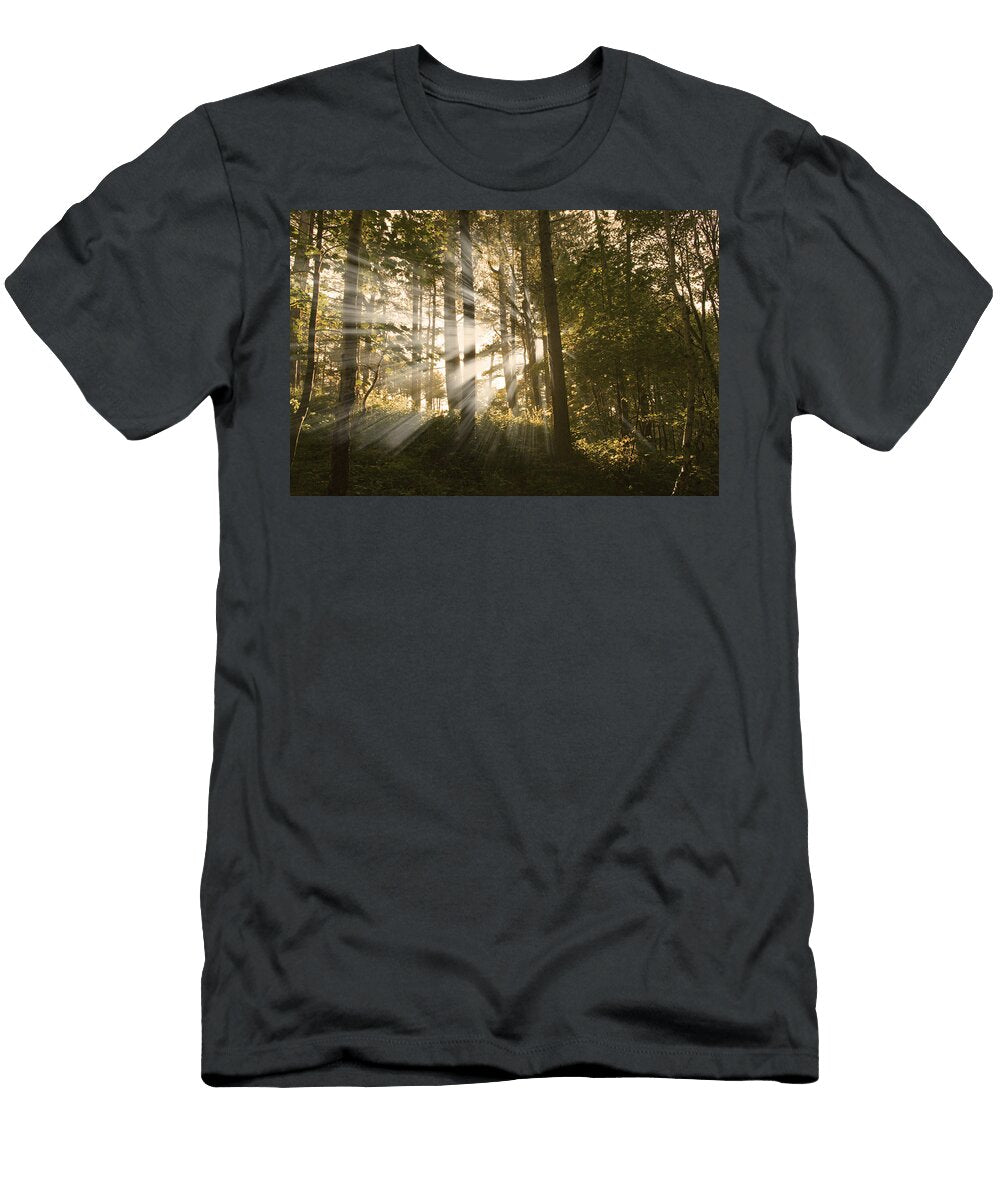 Sunbeams Paul Madden T-Shirt