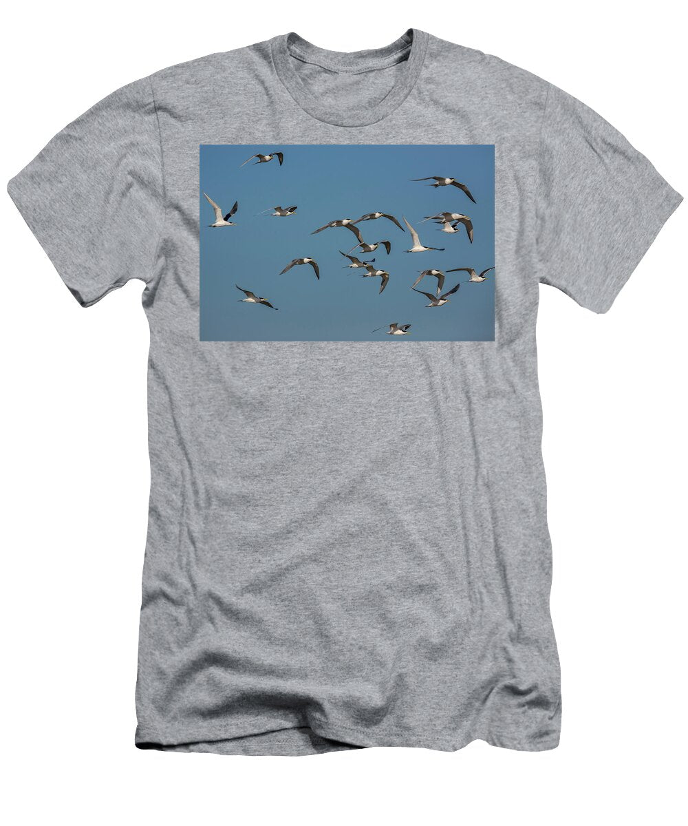 Swift Terns Luderitz Ann Steve Toon Natureplcom T-Shirt