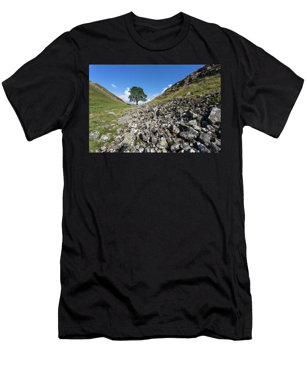 Sycamore Gap Hadrians Wall Northumberland UK Ann Steve Toon Natureplcom T-Shirt