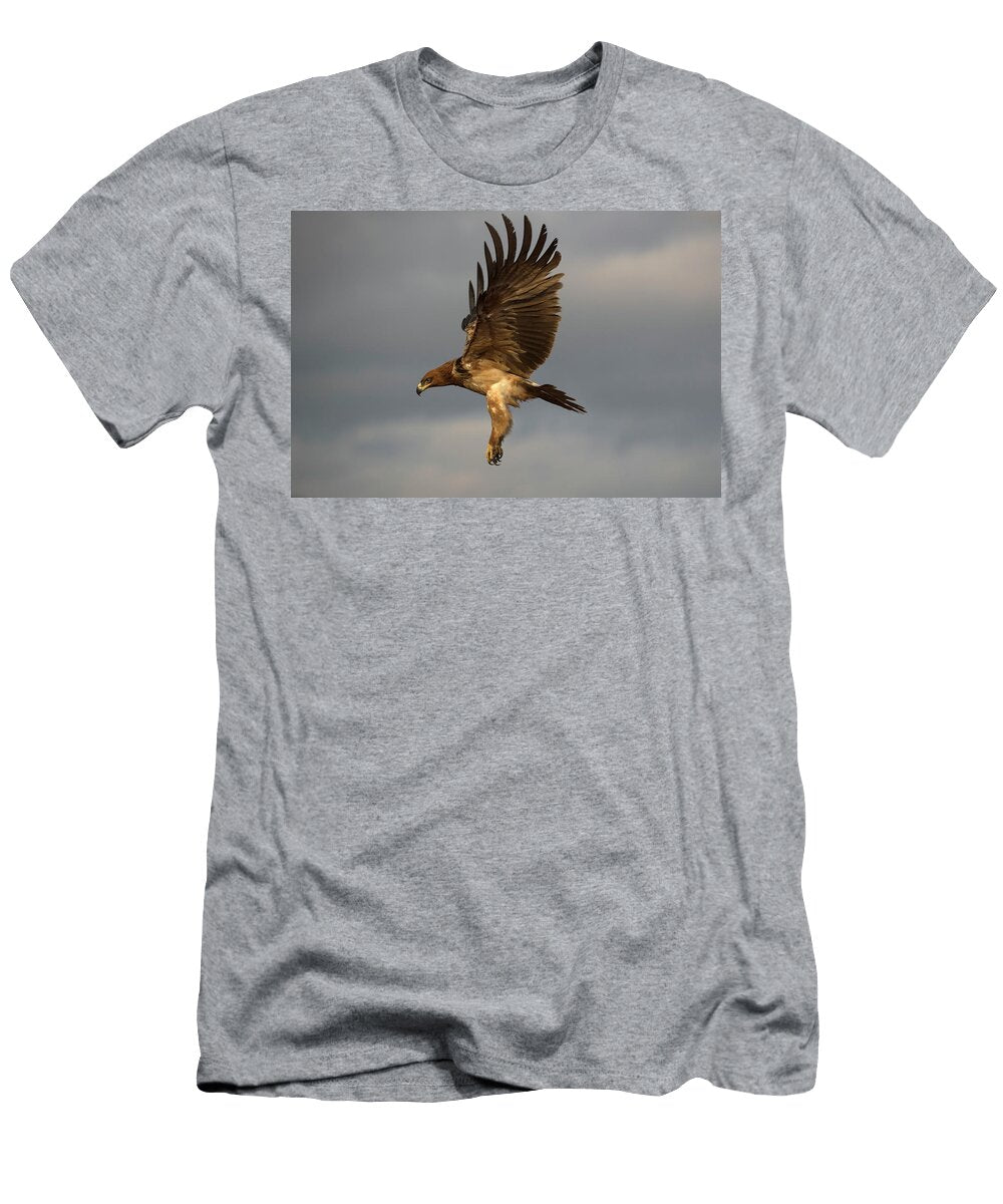 Tawny Eagle in Flight Zimanga Private Game Reserve Ann Steve Toon Natureplcom T-Shirt