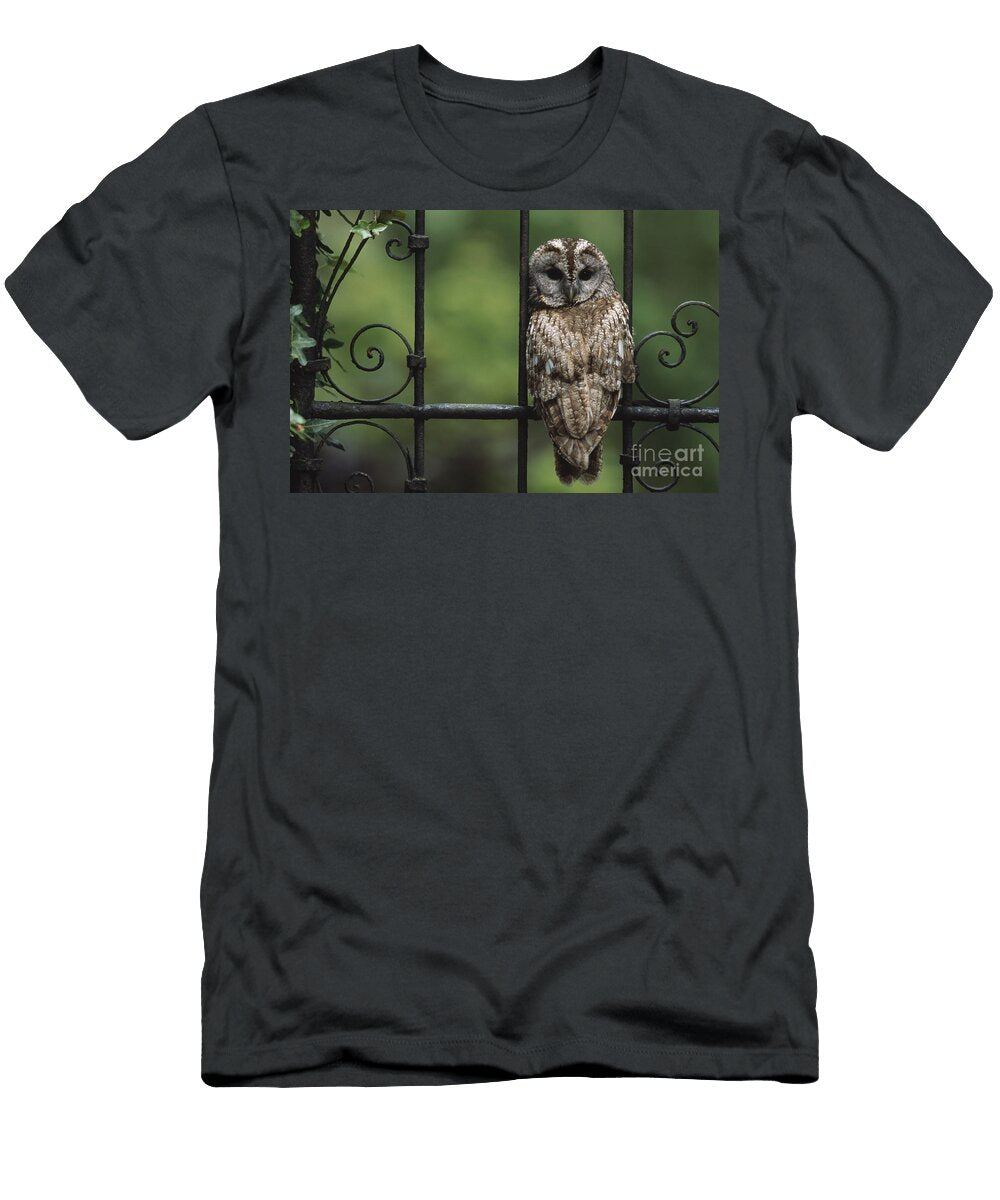 Tawny Owl Ann Steve Toon T-Shirt