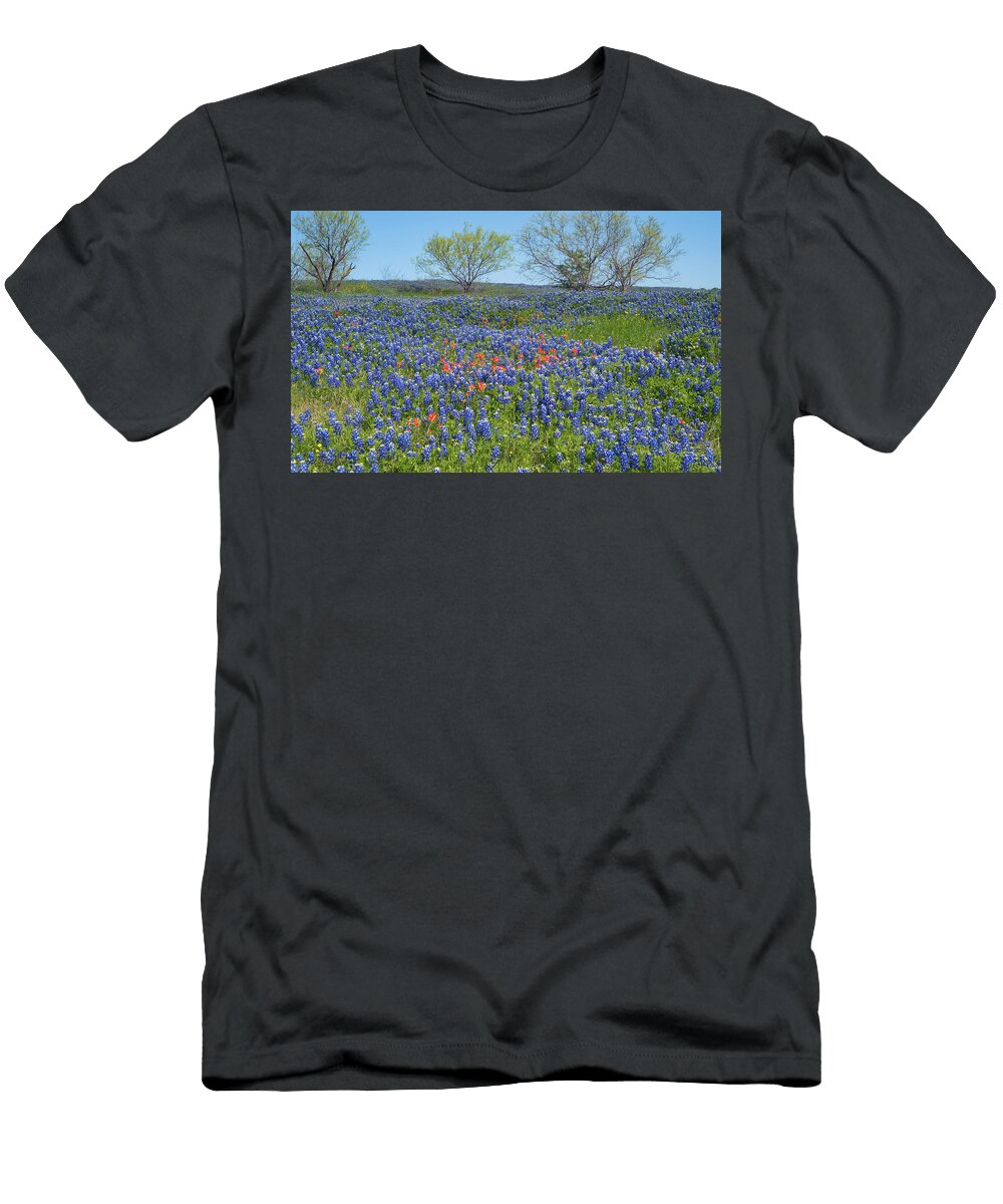 Texas Bluebonnets 4 Andrea Anderegg T-Shirt