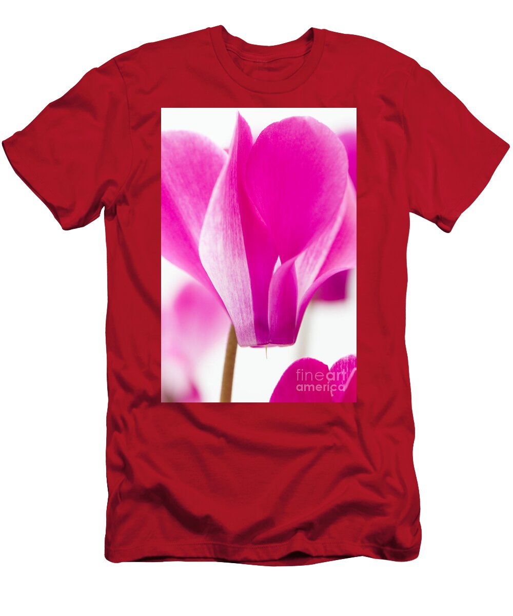 The Cyclamen That Fought Back Anne Gilbert T-Shirt