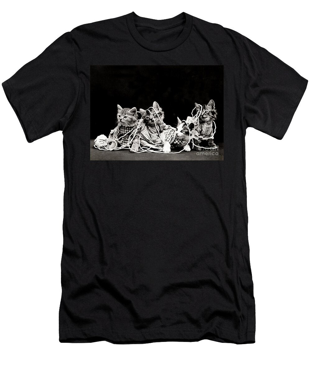 The Entanglement 1914 Science Source T-Shirt