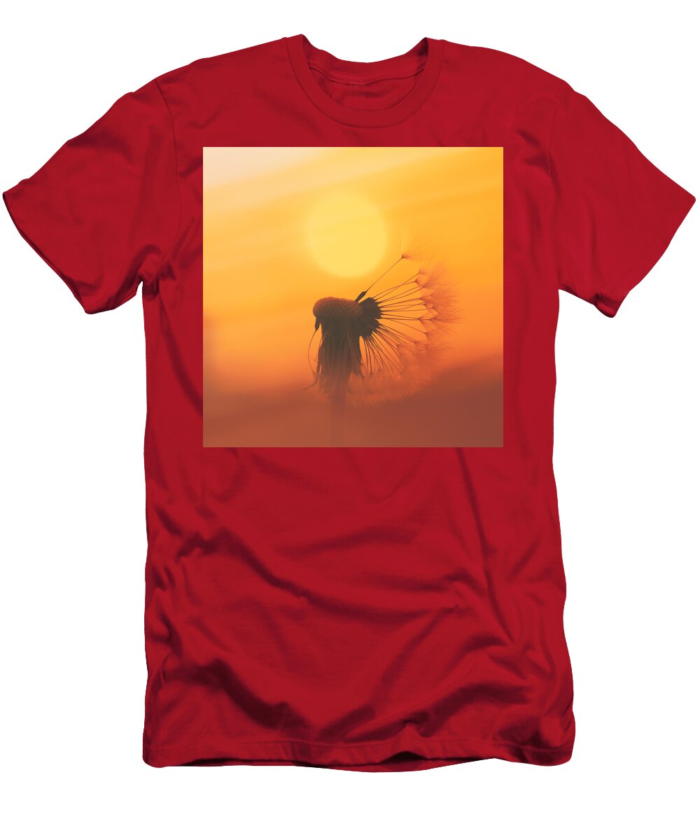 The Sun Jaroslav Buna T-Shirt