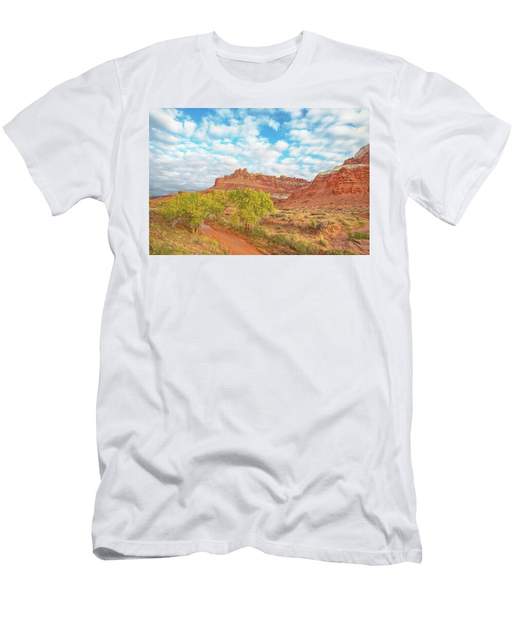 The Weak Can Never Forgive Forgiveness Is the Attribute of the Strong Wrote Mahatma Gandhi Bijan Pirnia T-Shirt