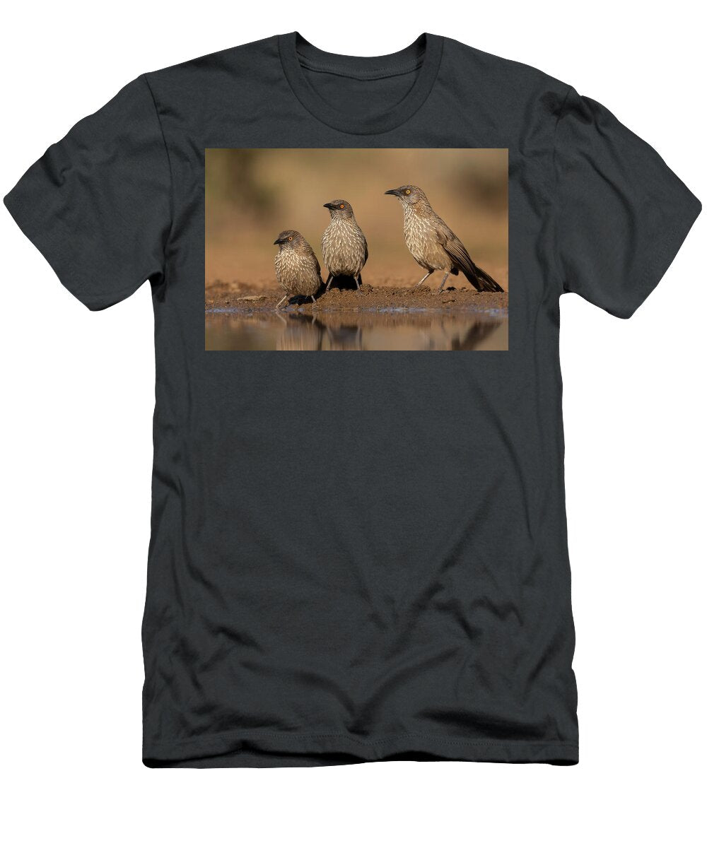 Three Arrow Marked Babblers Standing At Waters Edge Ann Steve Toon Natureplcom T-Shirt