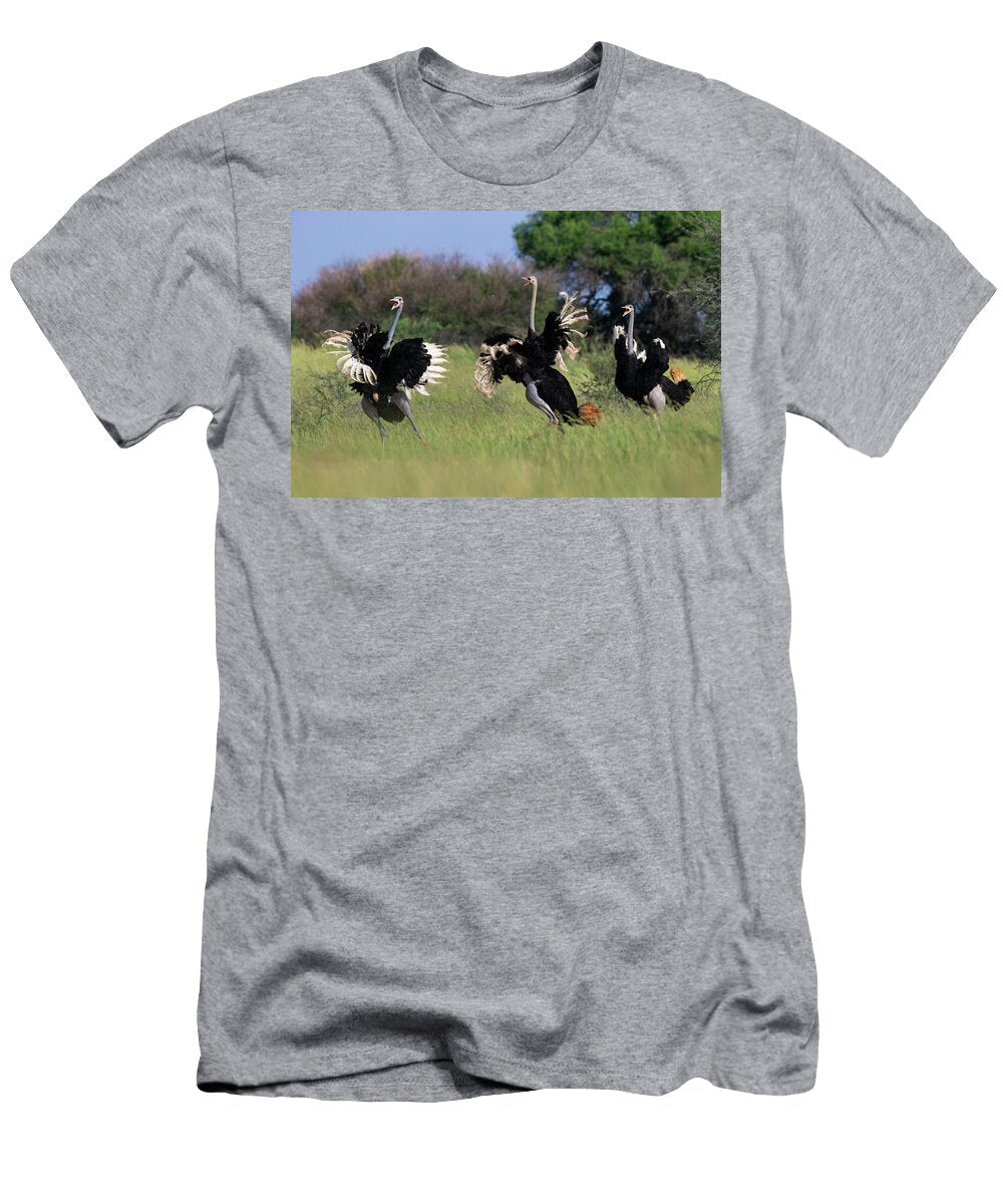 Three Male Ostriches Running and Flapping Wings in Ann Steve Toon Natureplcom T-Shirt