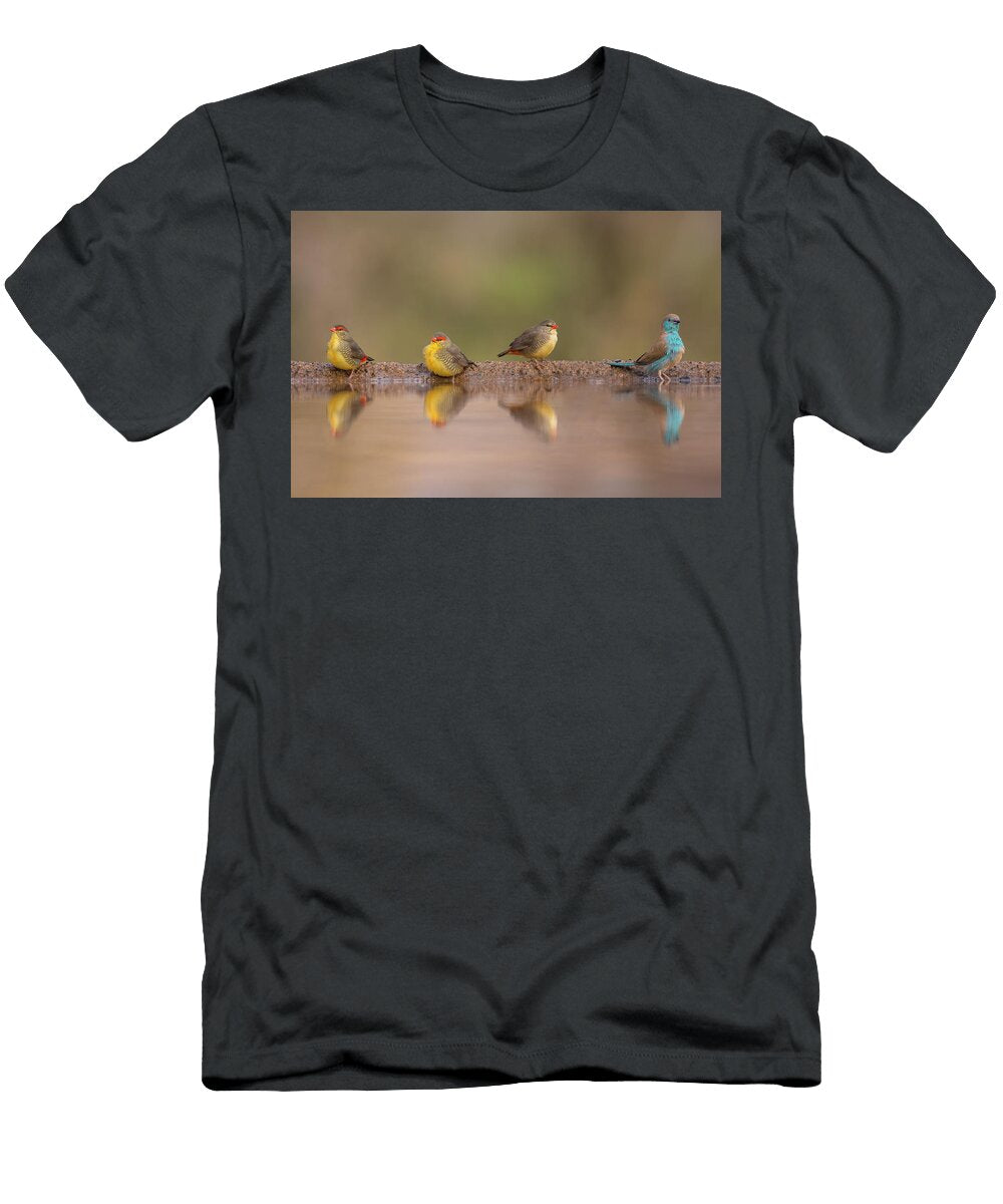 Three Orange Breasted Waxbills and Blue Waxbill Perched At Ann Steve Toon Natureplcom T-Shirt