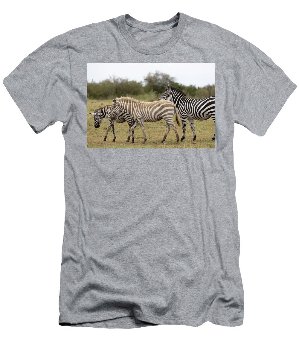 Three Plains Zebras Walking Over Grassland One Golden Ann Steve Toon Natureplcom T-Shirt