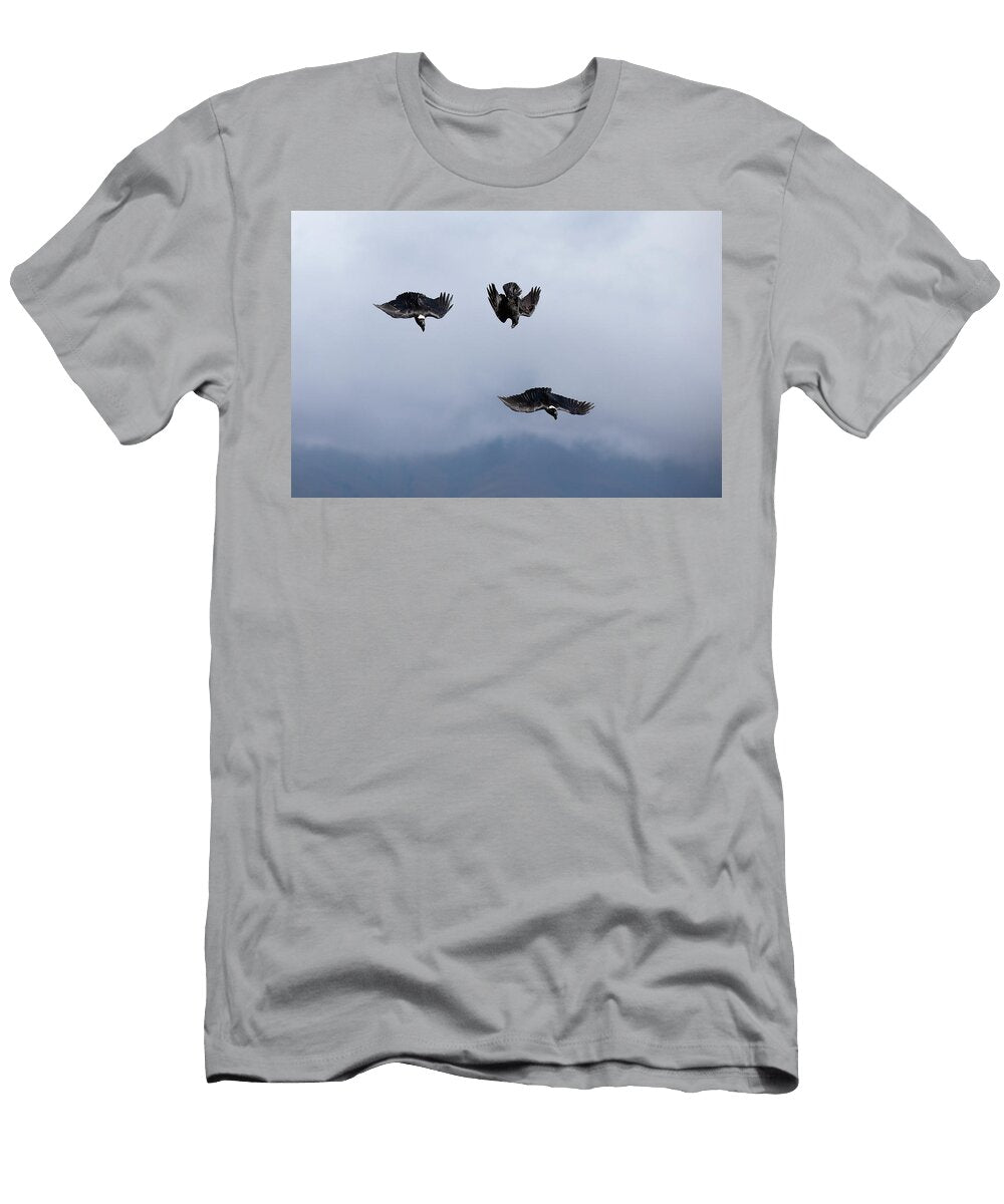 Three White Necked Ravens in Flight Swooping Giants Ann Steve Toon Natureplcom T-Shirt
