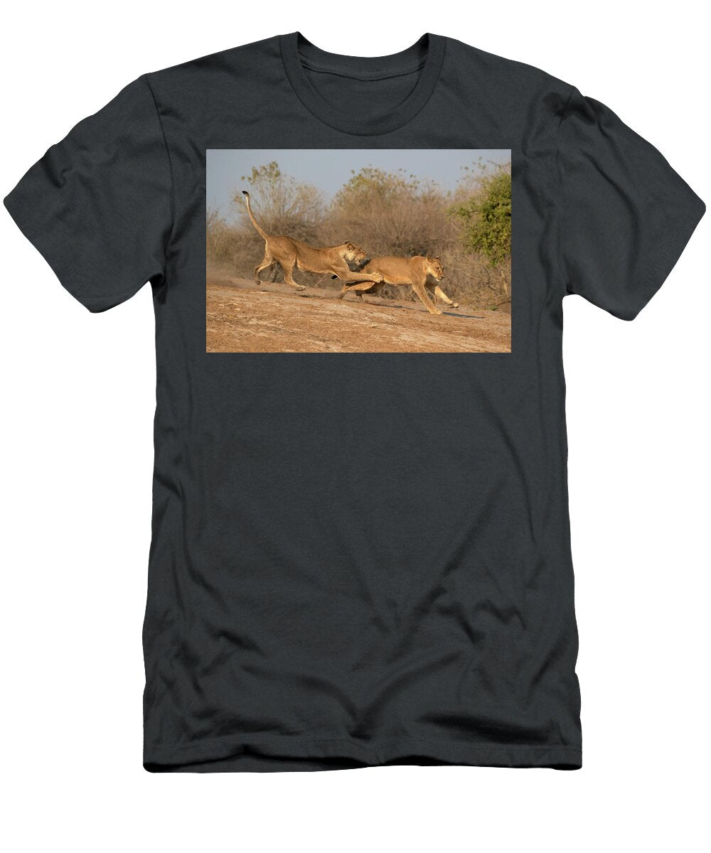 Two Lions Playing Chobe National Park Ann Steve Toon Natureplcom T-Shirt