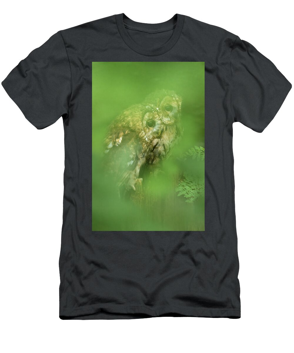 Two Tawny Owls Perched on Tree Stump Cumbria UK August Ann Steve Toon Natureplcom T-Shirt