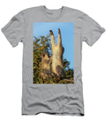 Two Vervet Monkeys Sitting in Tree Allogrooming Mountain Ann Steve Toon Natureplcom T-Shirt
