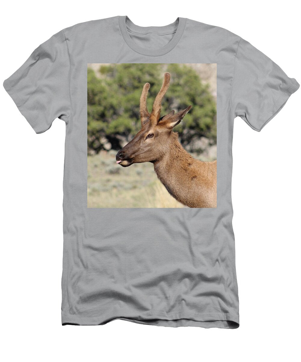Velvet Elk Smiles Brent Jacobs T-Shirt