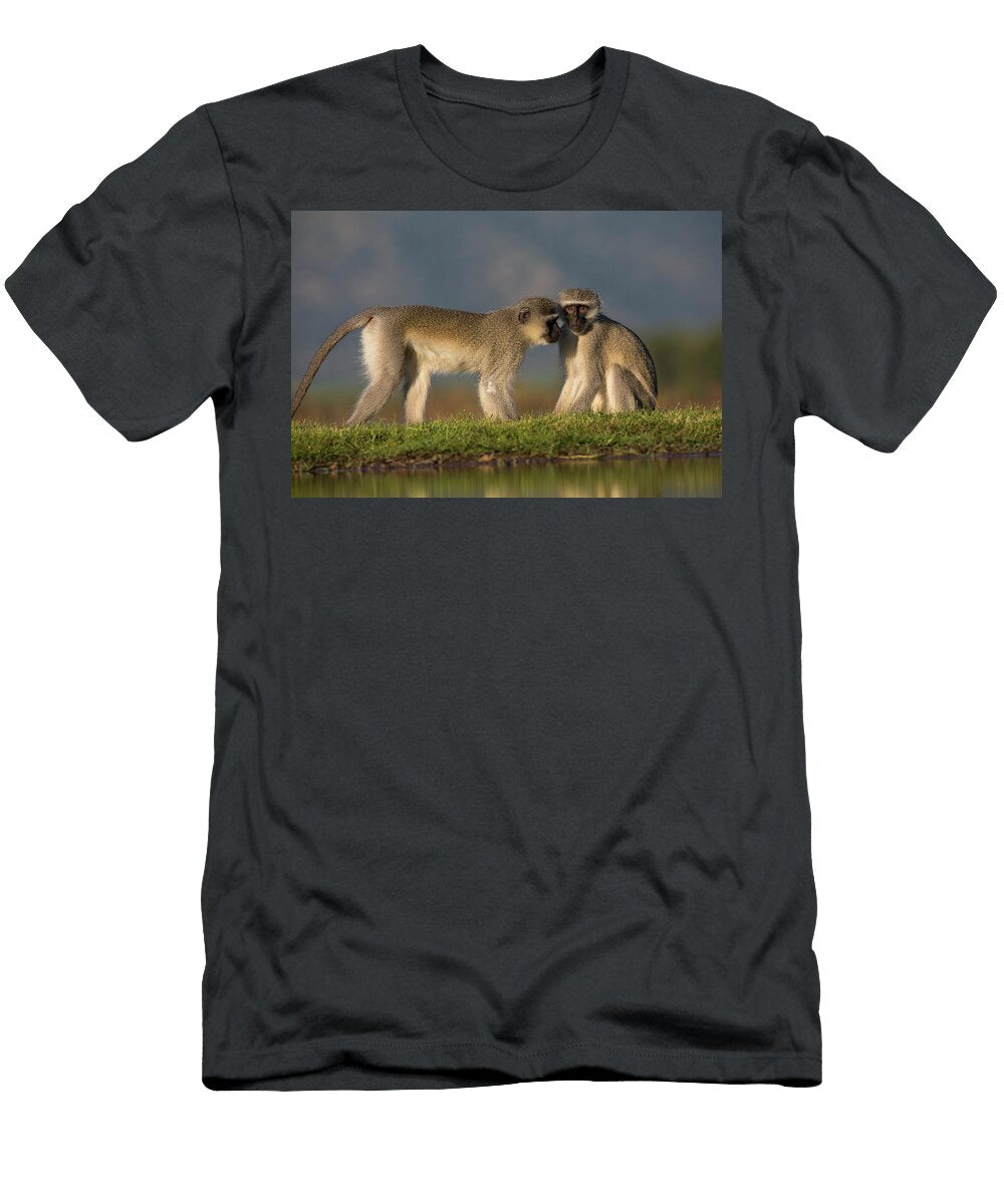 Vervet Monkeys Zimanga Game Reserve Kwazulu Natal South Ann Steve Toon Natureplcom T-Shirt