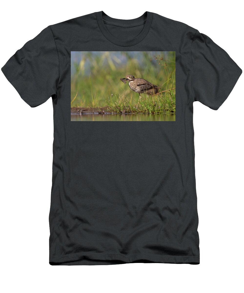 Water Thick Knee Standing At Waters Edge with Fish Prey in Ann Steve Toon Natureplcom T-Shirt